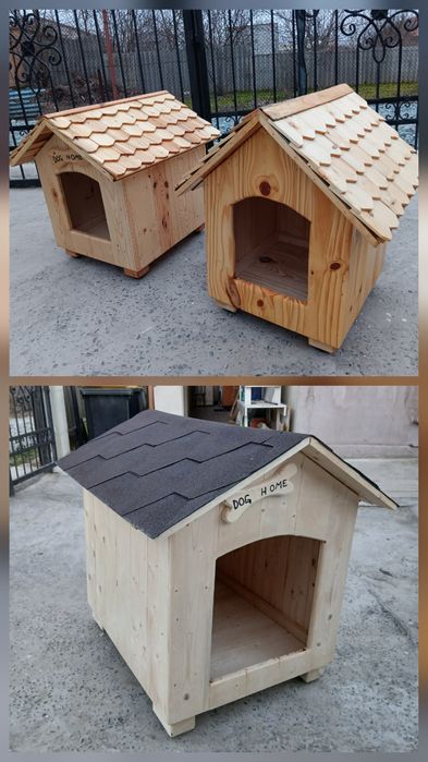 Cusca adăpost câine pisica bichon