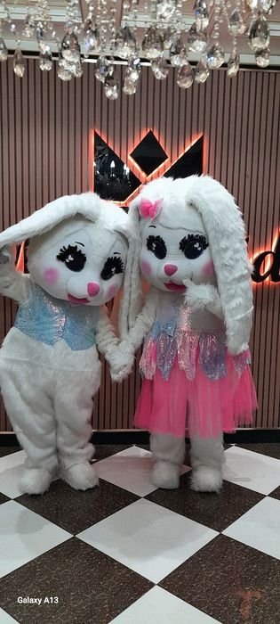 АНИМАТОР ,АЙИКЛАР ,Animator ayikchala . Teddy  150 . Минг сум