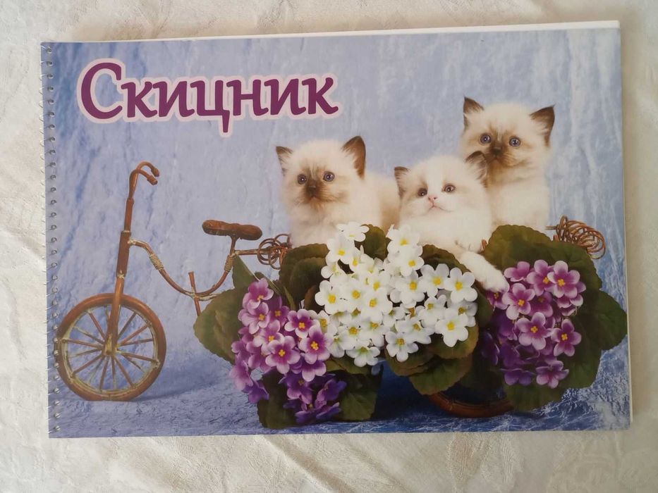 Детски материали за рисуване - 6 лв.