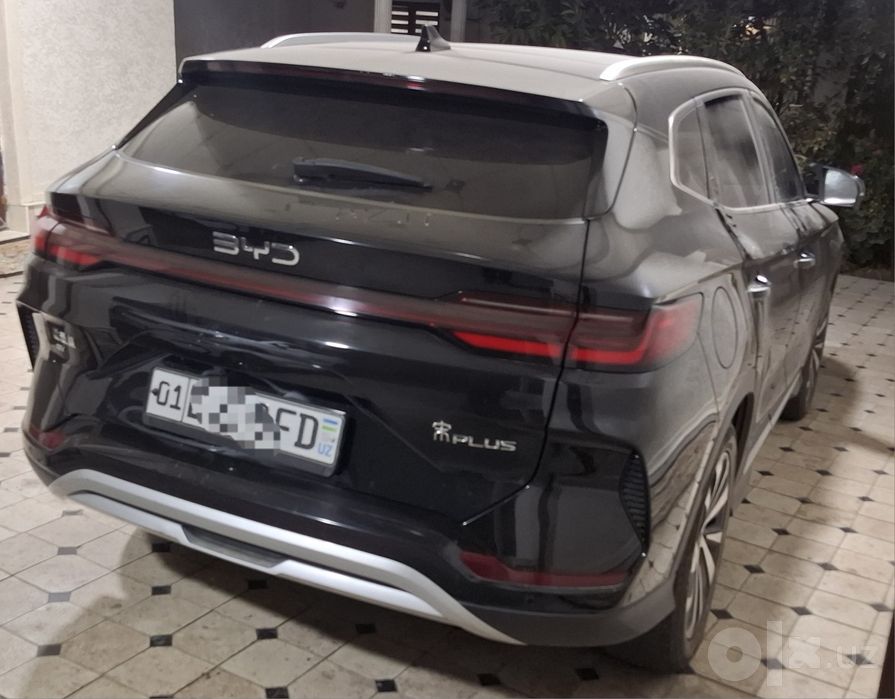 Byd chempion 2024  краска тоза