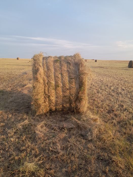 Продам сено рулон разнотравие 8000 тг