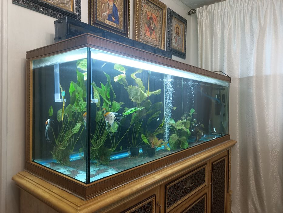 Продам аквариум большой