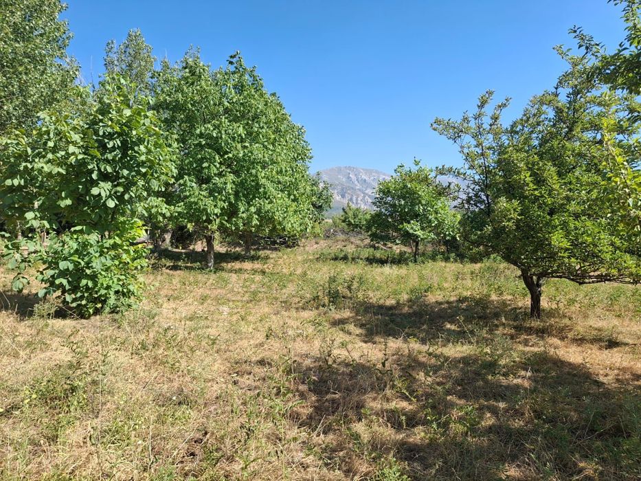 Продается земелный участок 25 гектар