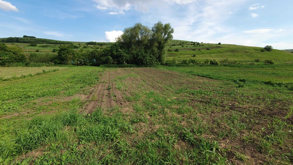 TEREN DE VANZARE ,, Super Oferta ''