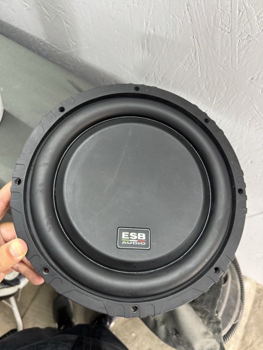 Продам сабвуферный динамик ESB 110SD2