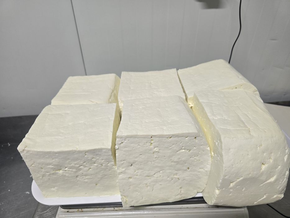 Vând brânza proaspătă de oaie