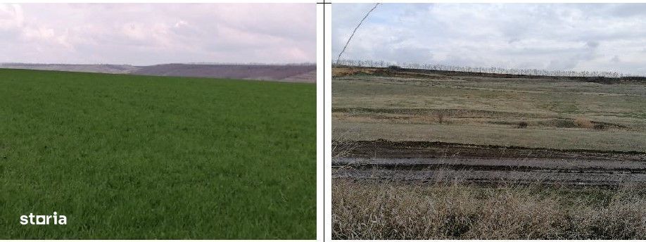 Teren extravilan Tiganasi, cota parte 1/5, ID: R2822453