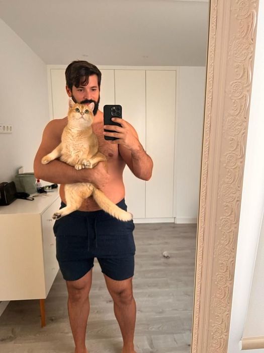 Бриташка золотой