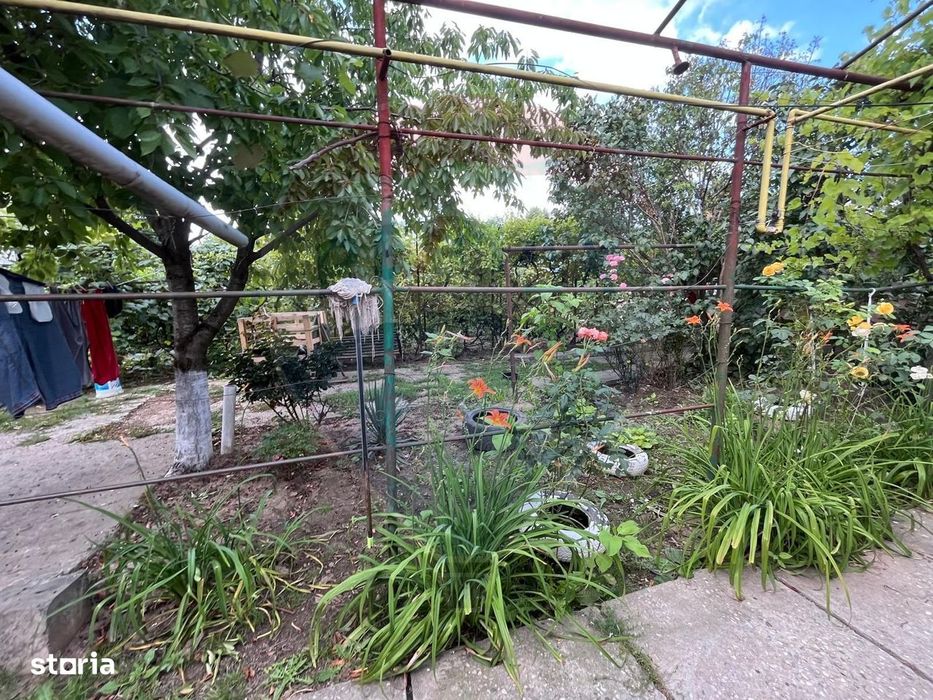 Casă cu teren generos in Voluntari