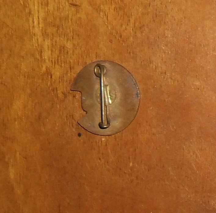 Lot două insigne purtate cândva de pionieri