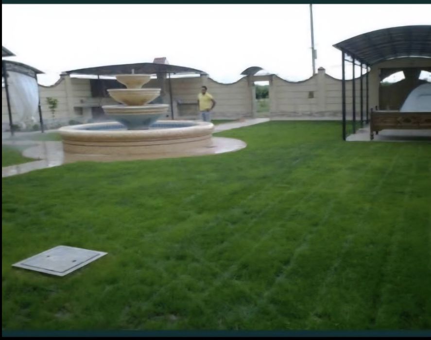 Акция на рулонный газон  до 15 октября.