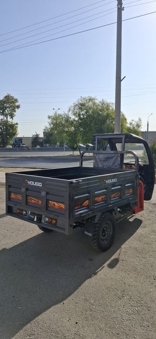 Muravek bor.         .