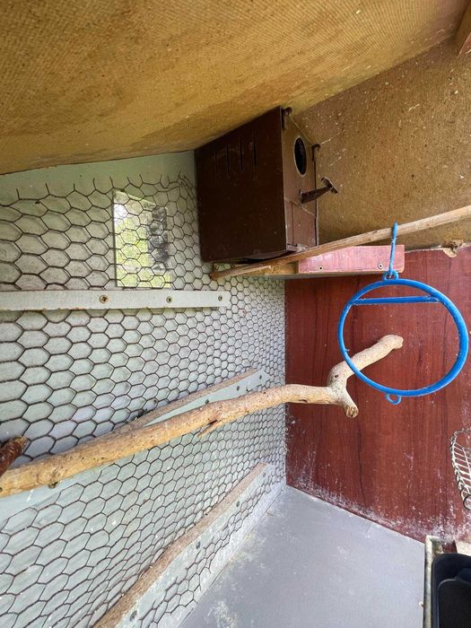 Handmade клетка за папагали