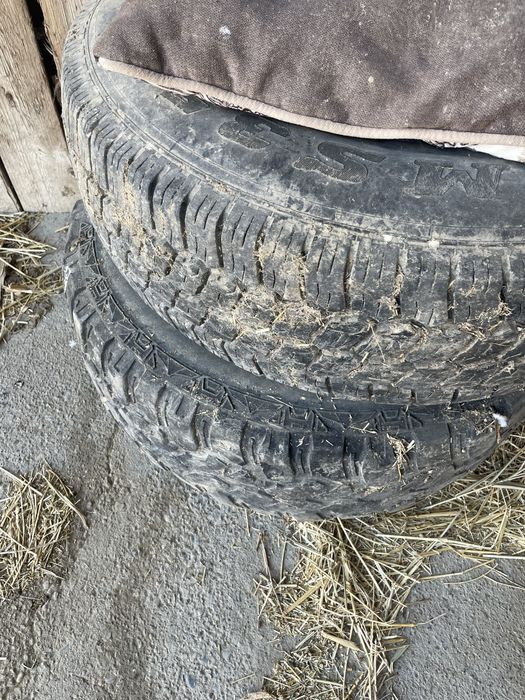 Шина 16/265/75 балон