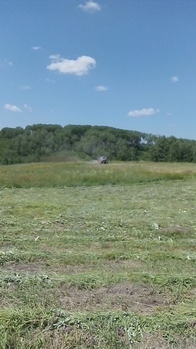 Сенокос  луговое разнотравье