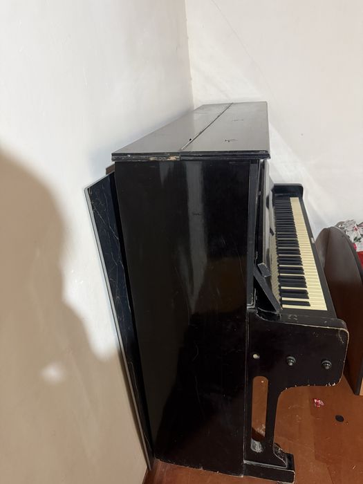 pionina sotiladi