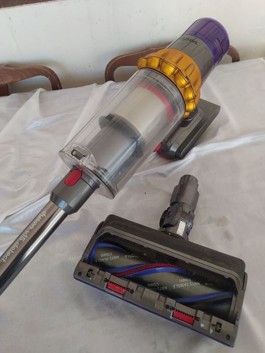 dyson plisos arginal