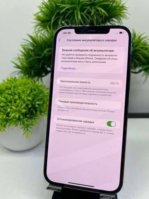 Iphone 12 Pro Max 256 gb