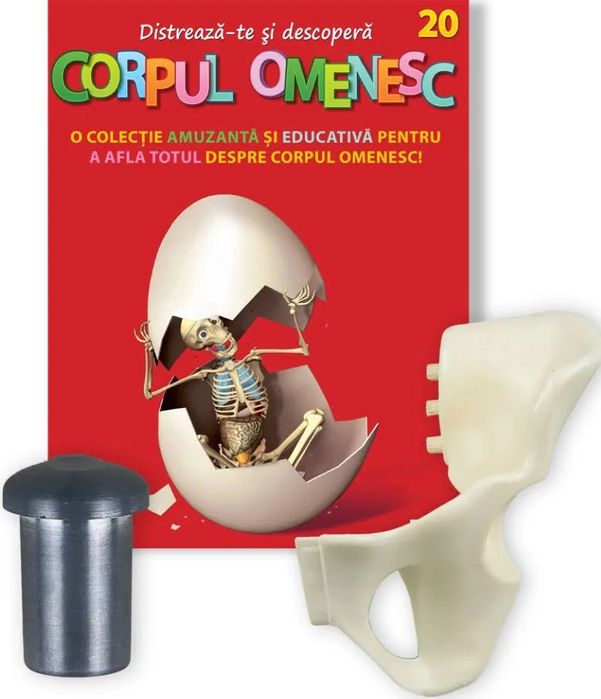 Colectie corpul omenesc