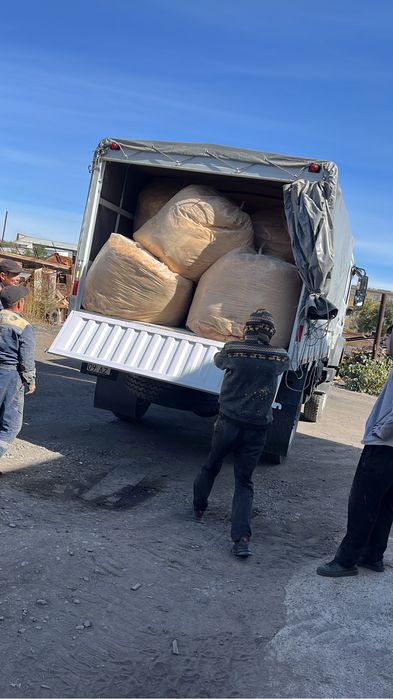 Опилки стружка сухие крупные. Дрова.