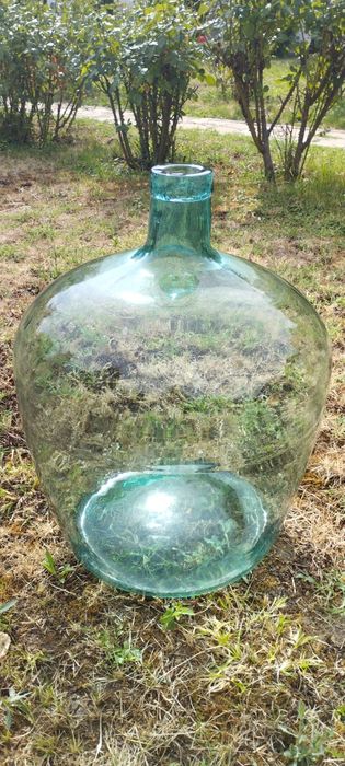 Damigeană 50 L  sticlă groasă