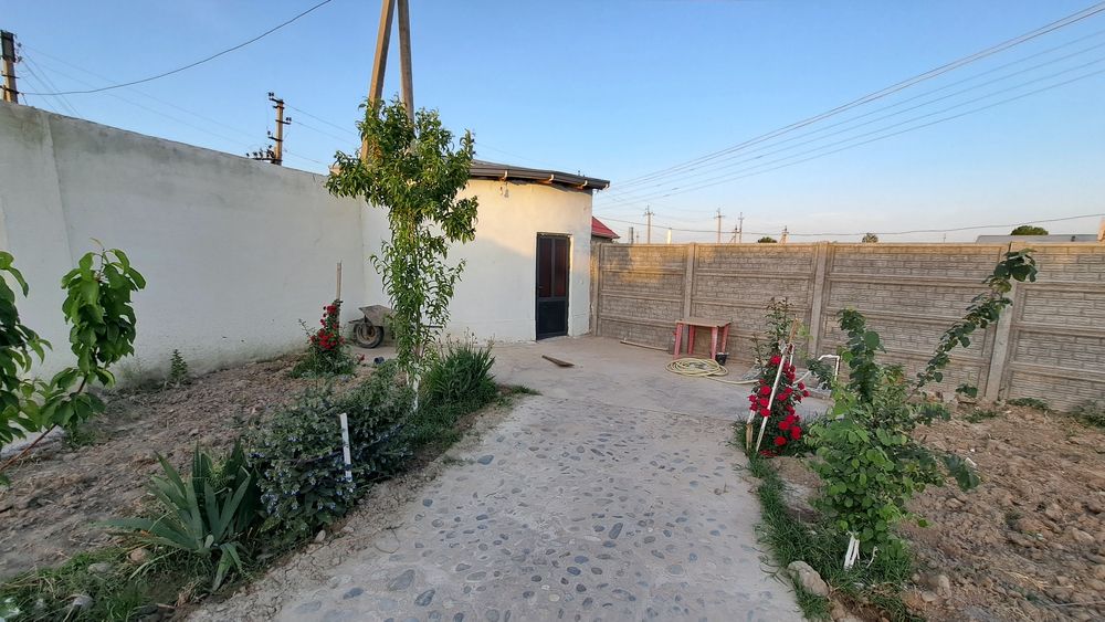 Ховли сотилади, 4 сотик. Свет, газ, сув доимий.