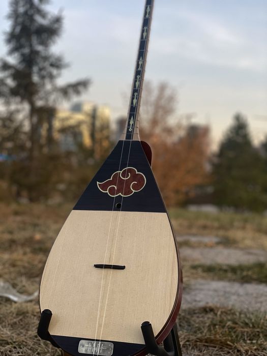 В продаже профессиональные домбры оптом и в розницу