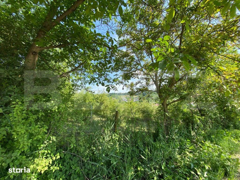 Teren intravilan de vanzare – 30 ari – Zona Podul Jelnei – prive