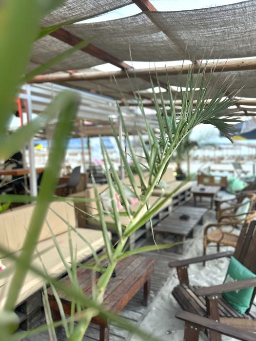 Продава се Заведение в Варна, Левски - 250 кв.м за 286 €/кв.м - Снимка #8