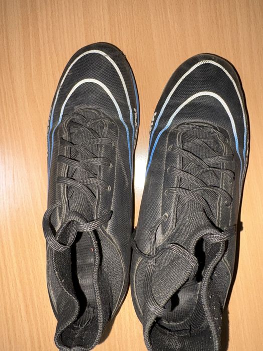 Сороконожки синие