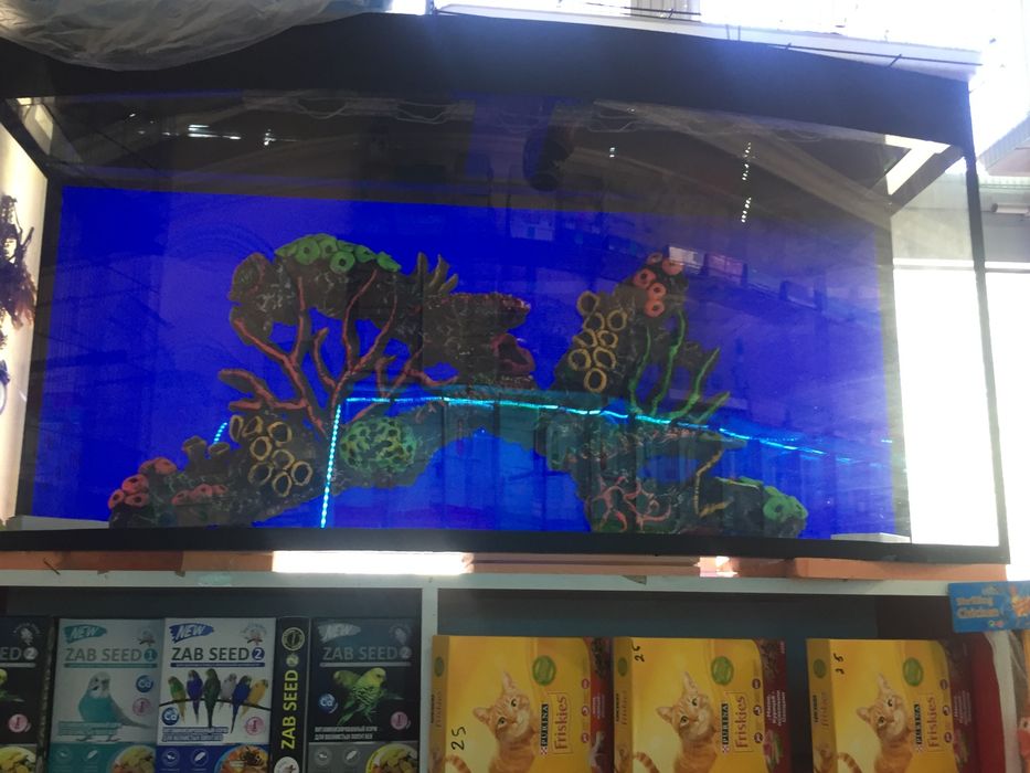 Авални аквариум Узбекистан