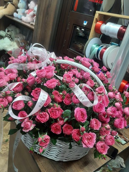 Продам кустов розы