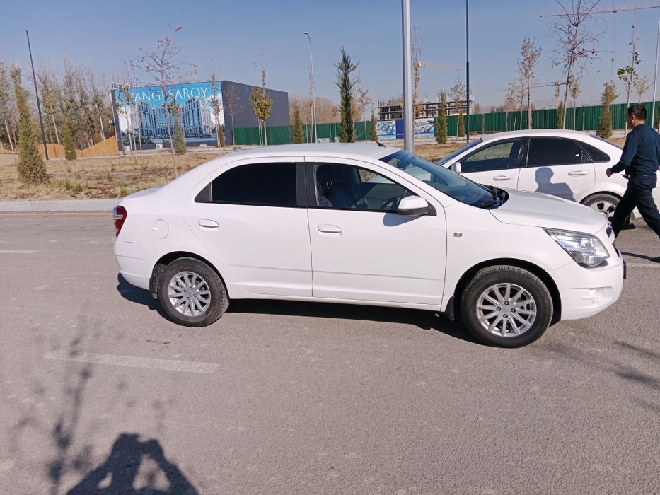 Other Cobalt 2013 — 4