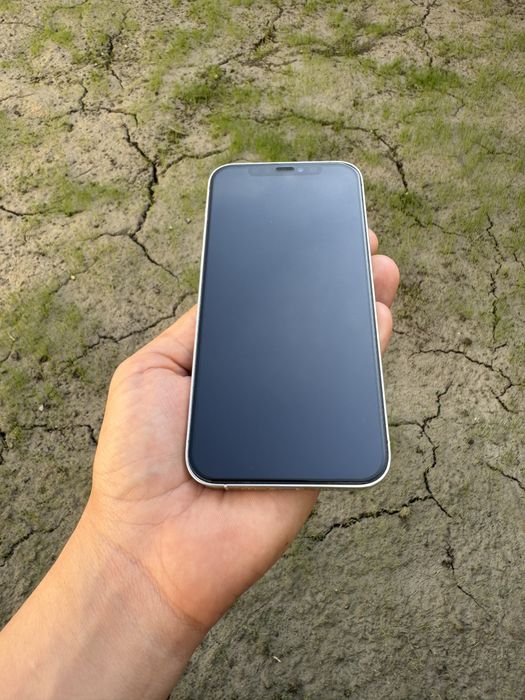 Iphone    12     pro
