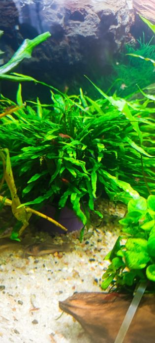 Расписание в аквариум