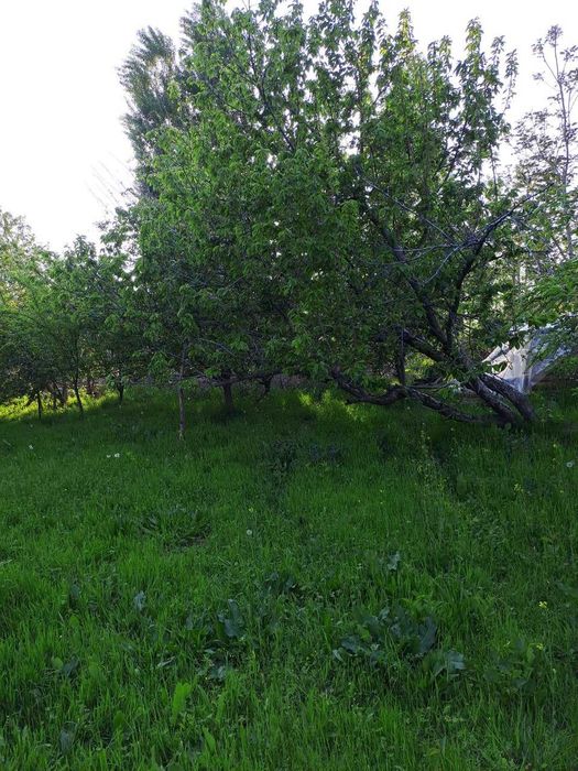 Ер сотилади СРОЧНА!!!