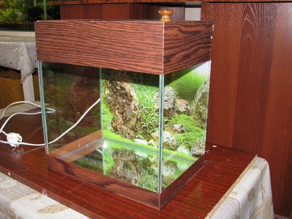 Аквариум для рыб