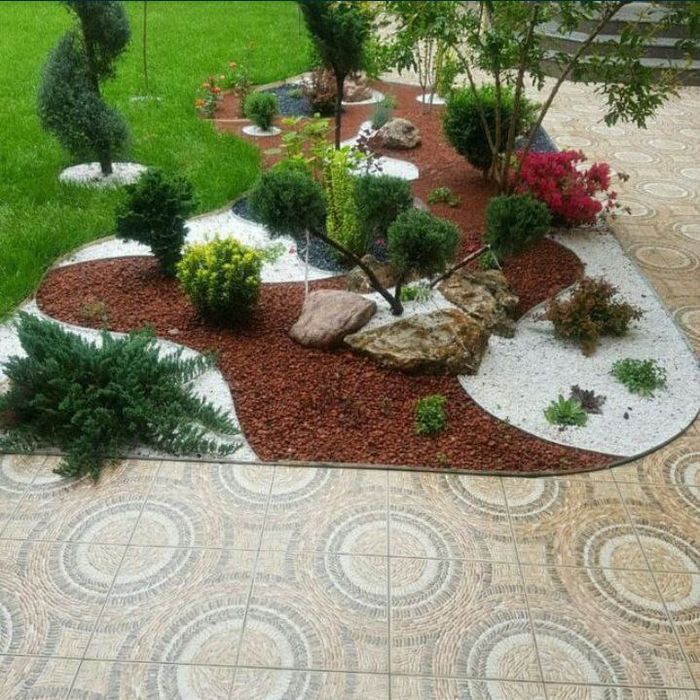 Газон.Ландшафт.Арча уход ва Декаративный Дарахтлар