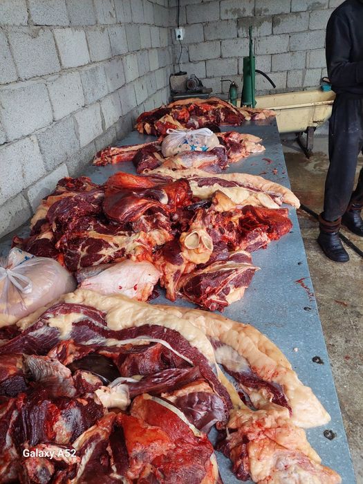 Ет . Согым Пригородное