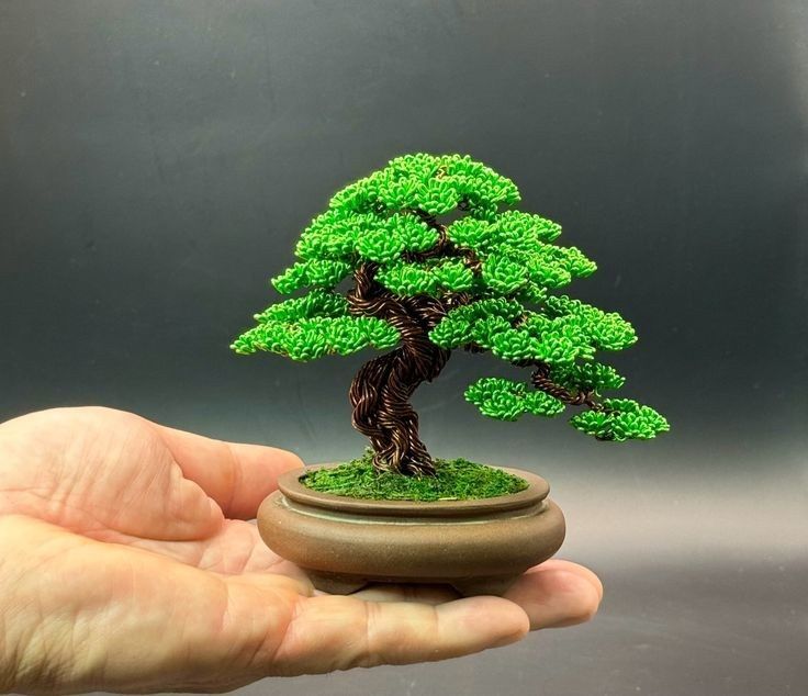 Дерево бансай япон дарахти Йасаб берамиз