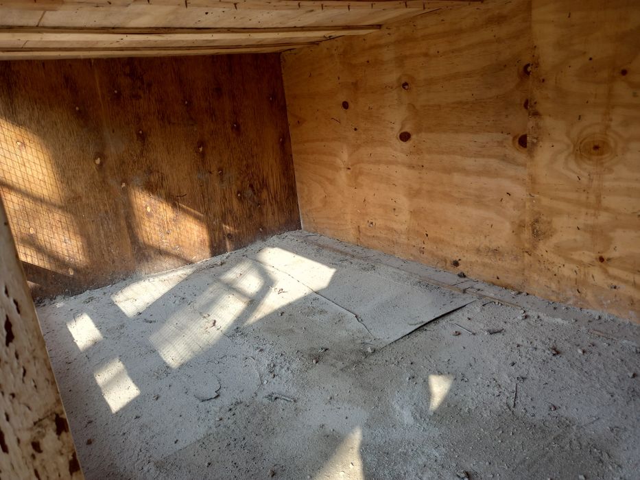 Tuvuq uchun katak sotiladi