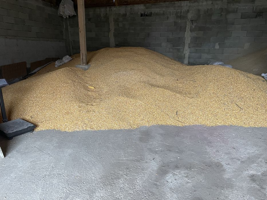 Vand graunte bine uscate 90 Baloti de lucerma 120 cu 120 bine presati