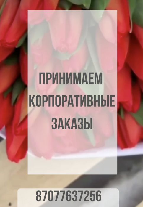 Тюльпаны в розницу