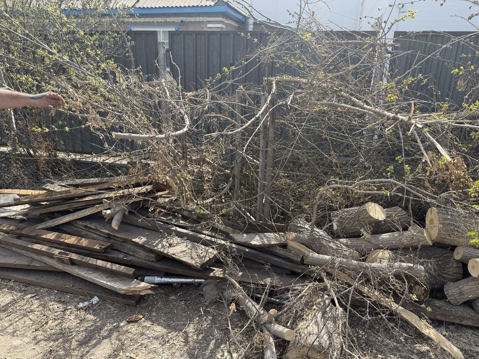 Отдам даром дрова