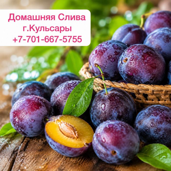 Домашняя слива в Кульсары