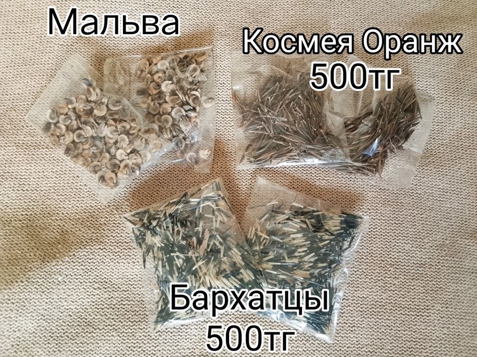 Семена цветов для дачи и двора