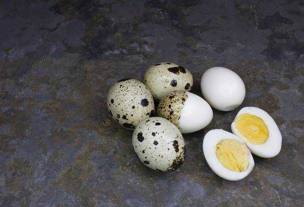 Бедана Тухум Перепелиные яйца первой свежести из собственной фермы