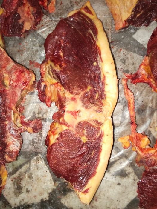 Мясо конины частями !