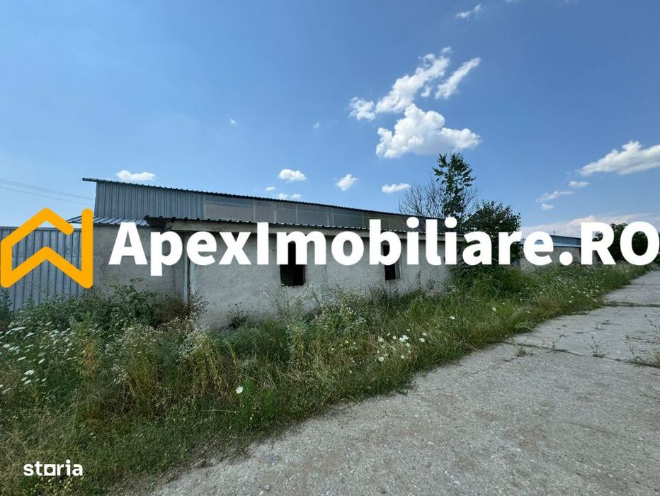 Hale Industriale de Inchiriat Baicoi – 1100 mp + 800 mp, teren 5500