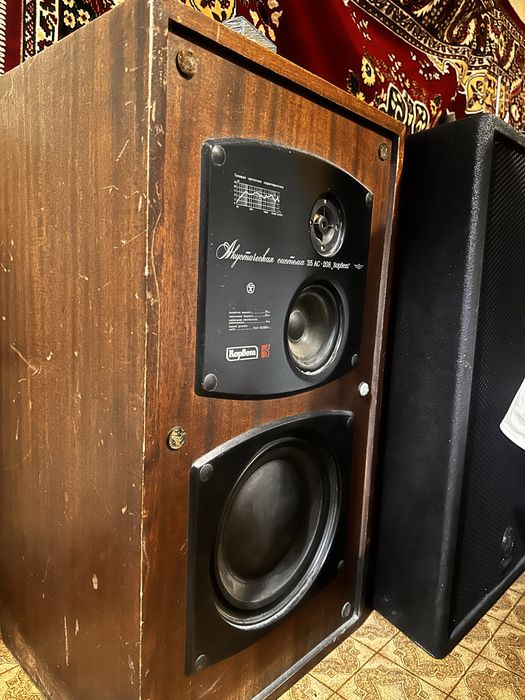 Продам колонки Корвет Ас-208